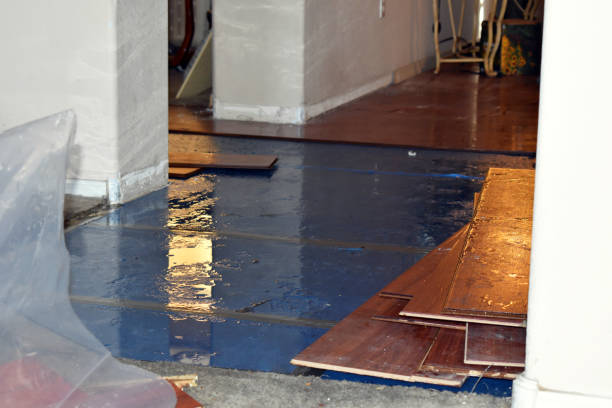 Professional Basement Flood Cleanup technician working in Warm Springs, OR